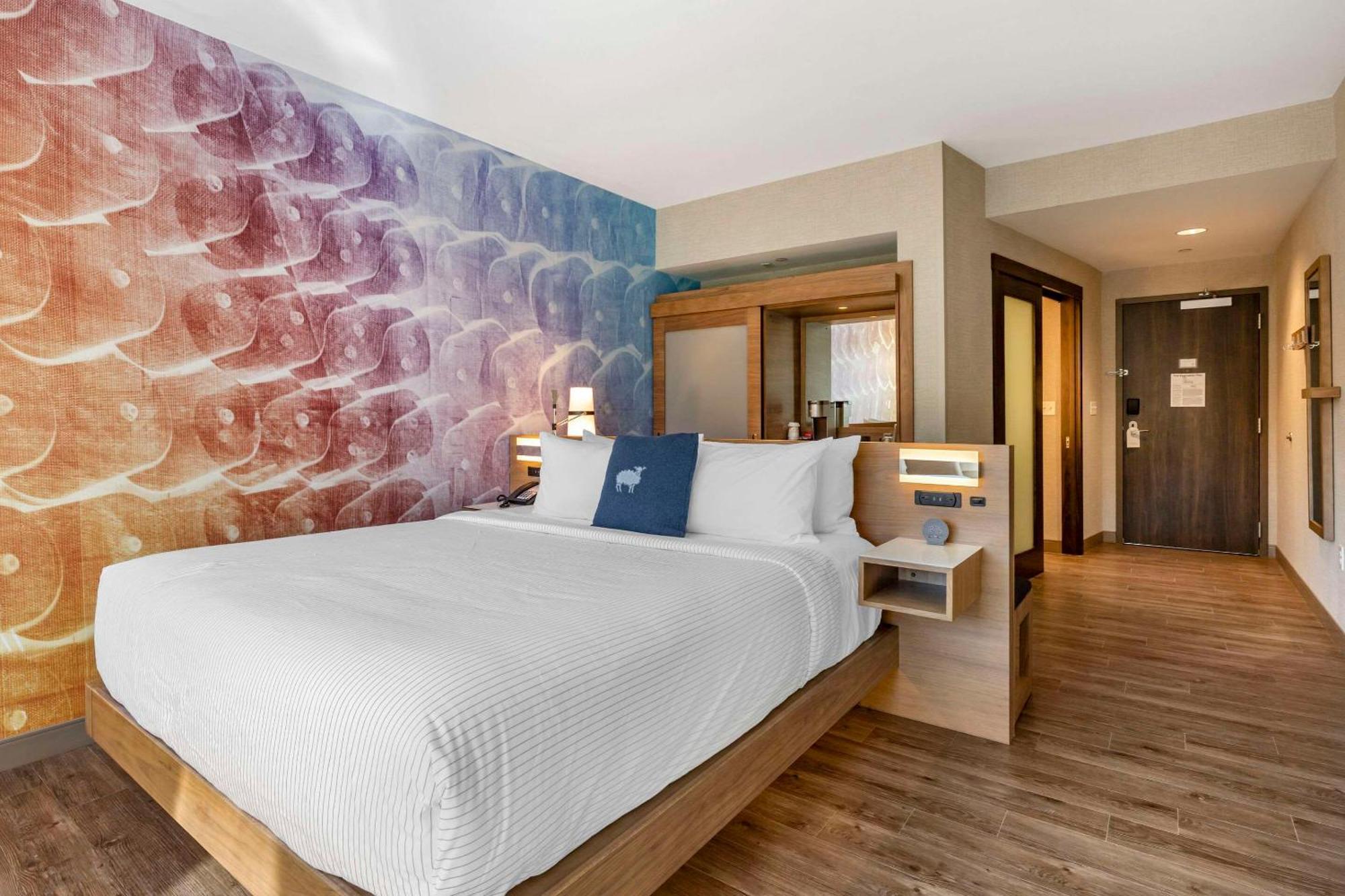 Cambria Hotel Manchester South Windsor Zewnętrze zdjęcie
